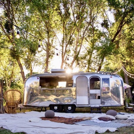 A_Social_Co_Jacqueline_Soffer