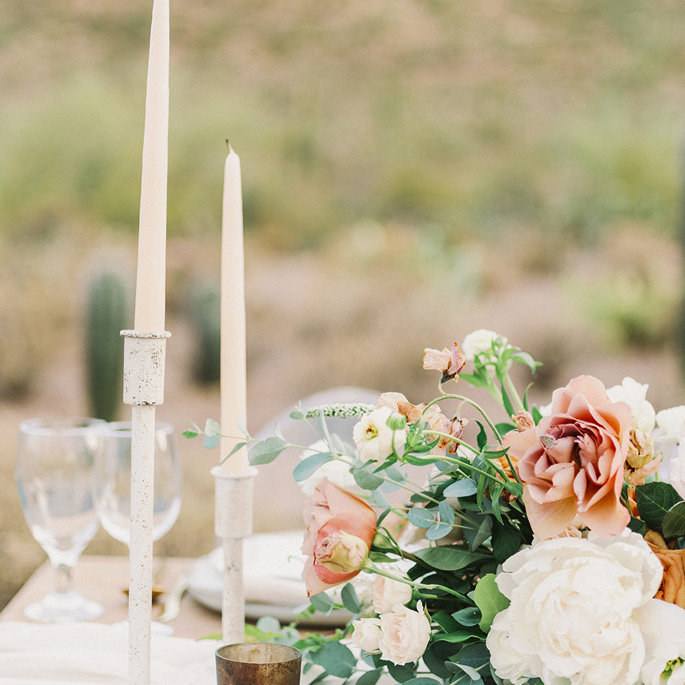 As_Ever_Desert_Dove_Digi-24_SMALLER